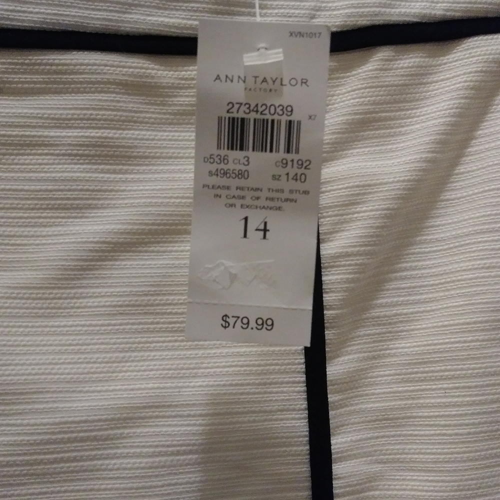 Ann Taylor Skirt